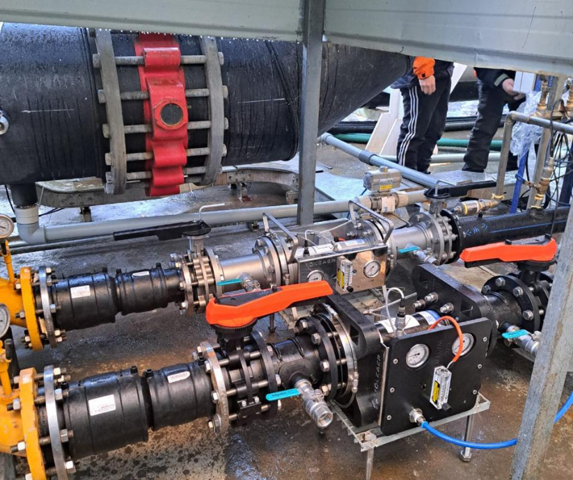 Australis Seafood Dumestre