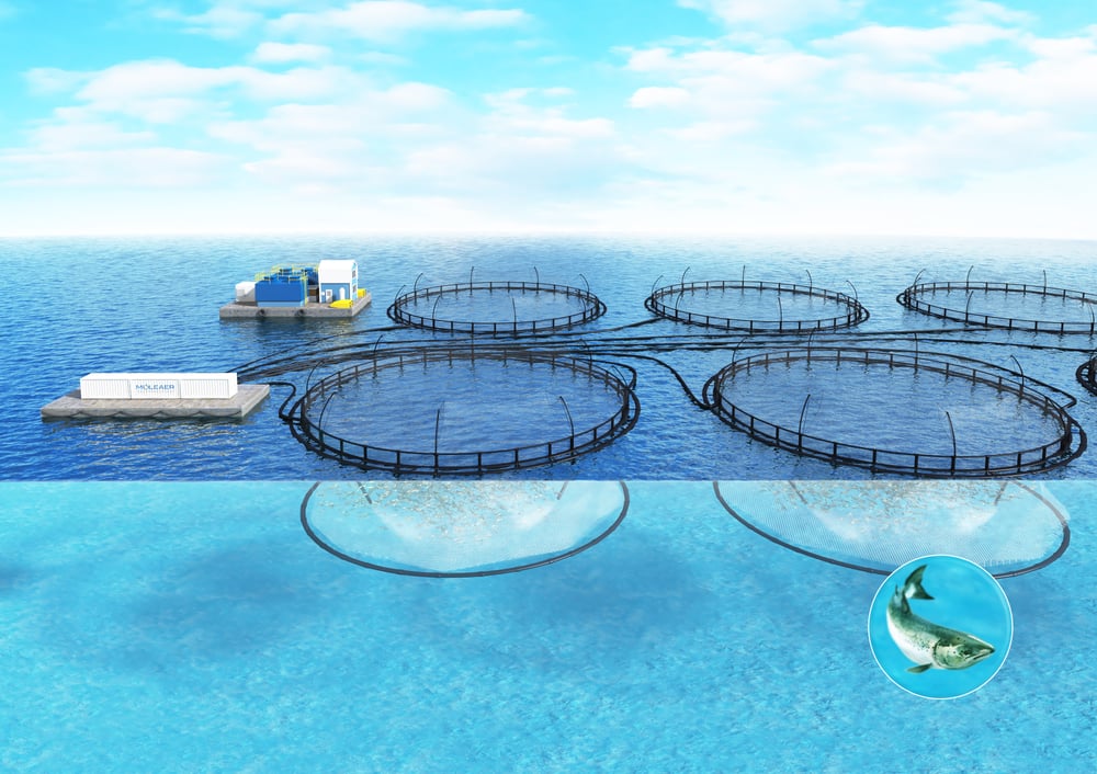 Moleaer_Aquaculture_Graphic1_NetPen