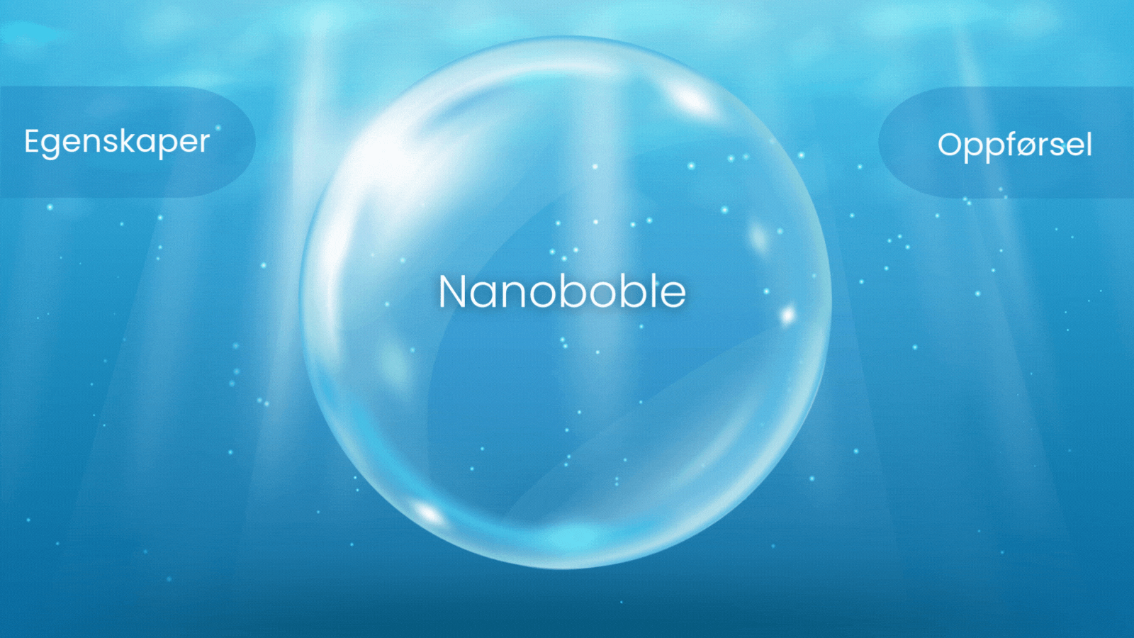 Nor_&_Spa_Graphics for new NB webpage (2)-1