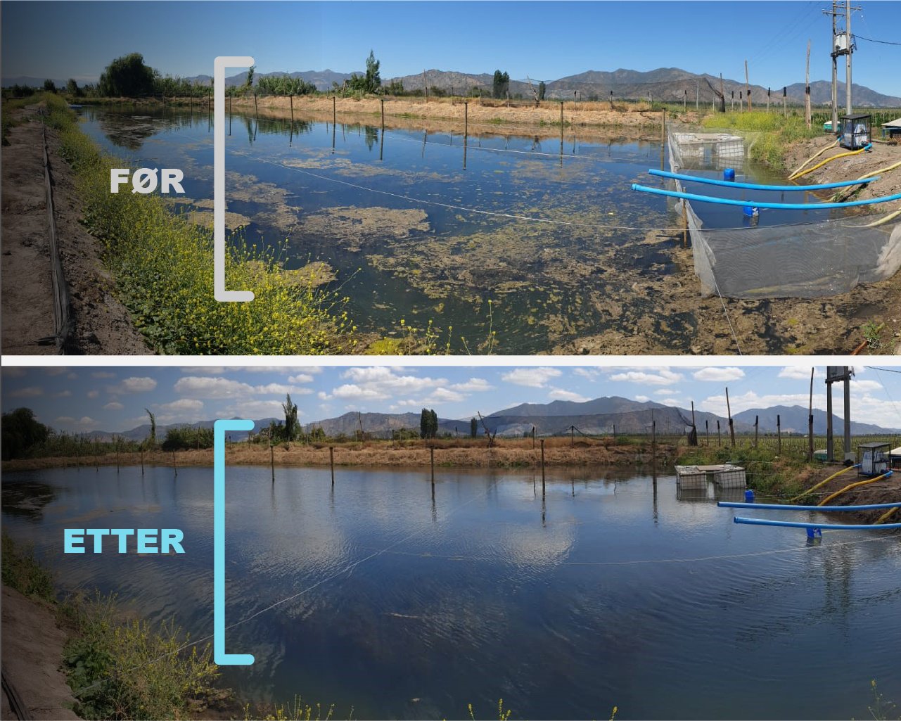 Nor_Before & After Moleaer_Reservoir_Artboard 22 - Light Blue-100