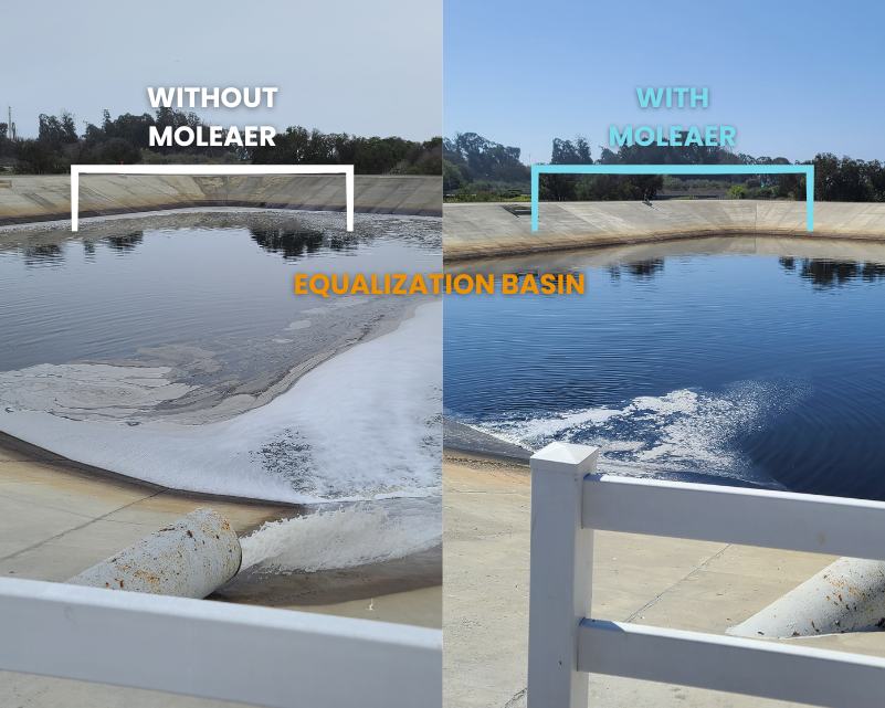 Website Images for WW (2)