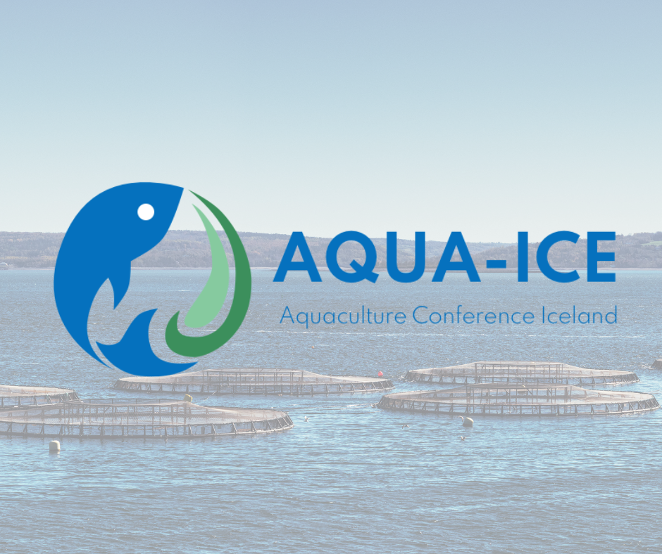 Aqua-Ice 2025 | Island