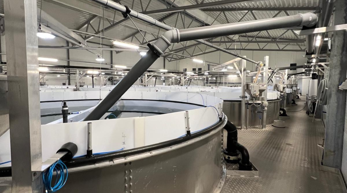 Lodingen Fisk | RAS-annlegg