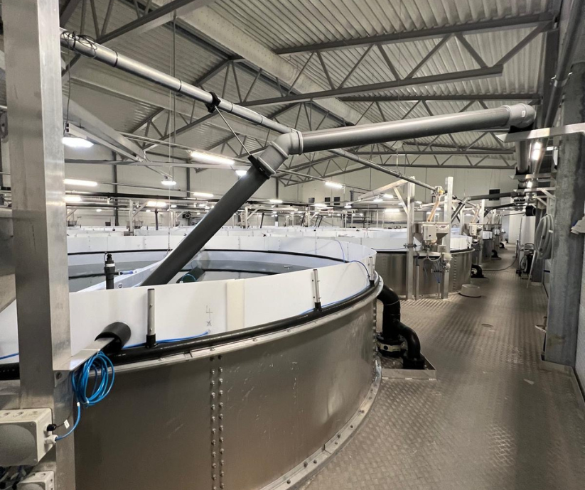 Lodingen Fisk | RAS-annlegg