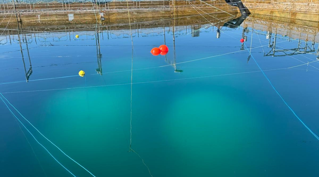 Salmar Innovanor | Ventemerder