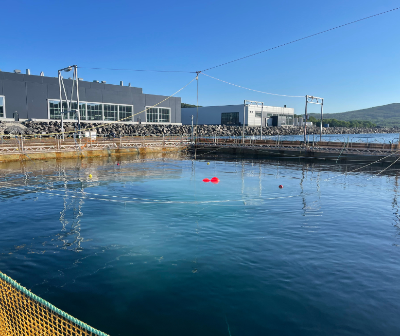 Salmar Innovanor | Ventemerder