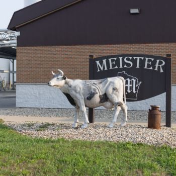Wisconsin Cheese Makers